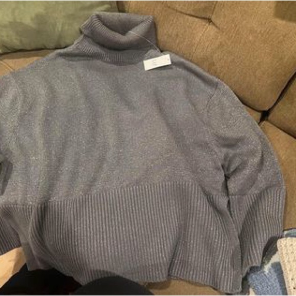 Gap metallic sweater